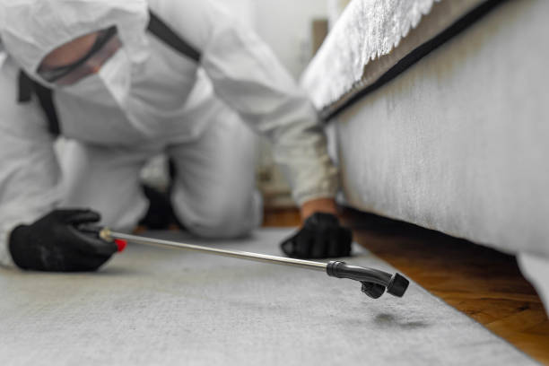 Professional Termite Control technician working in Windsor, PA