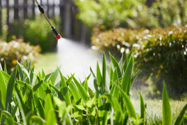 24/7 Emergency Termite Control experts in Windsor, PA